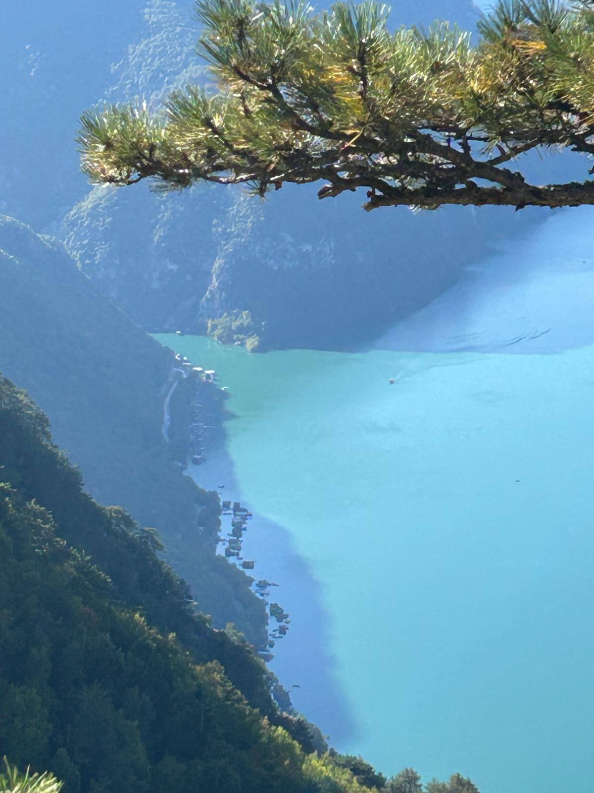 Panoramski pogled sa Tare na tirkizno jezero Perućac